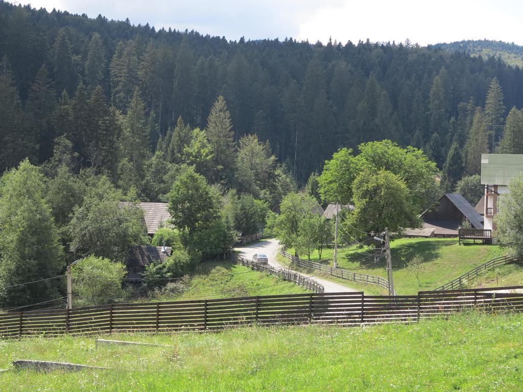 Hotel Pensiunea Doina Bucovinei Mînăstirea Humorului Exterior foto