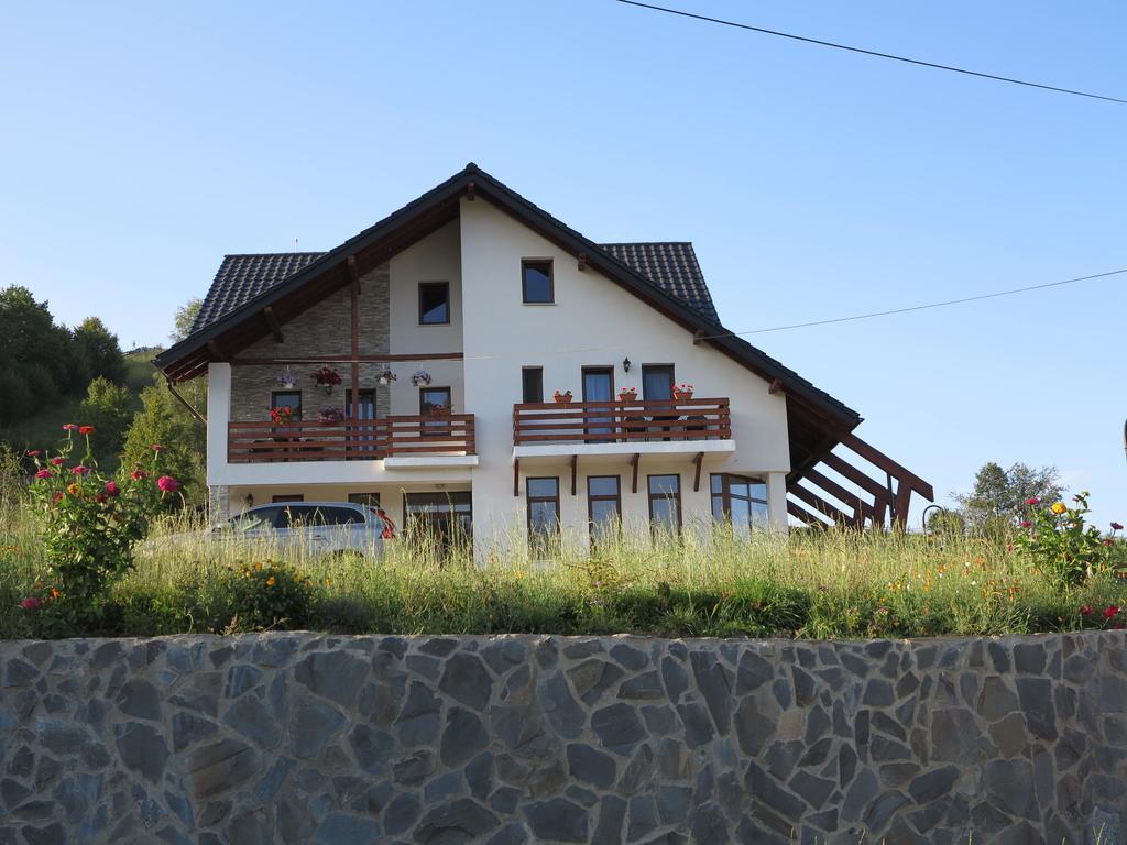 Hotel Pensiunea Doina Bucovinei Mînăstirea Humorului Exterior foto